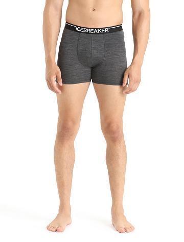 Men's Icebreaker Merino Anatomica Boxers Underwear Jet Heather | CA 1631VRWD